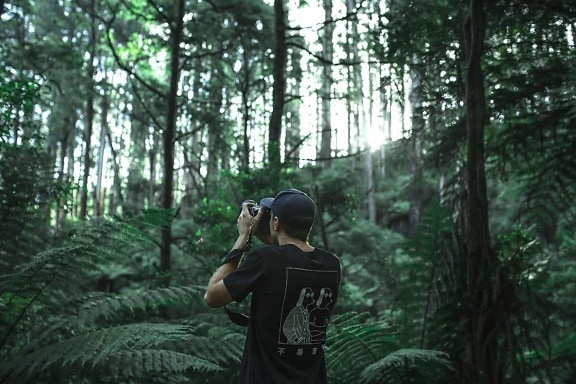 vegetación, cámara de fotos, follaje, bosque, hombre, naturaleza, fotógrafo, árbol