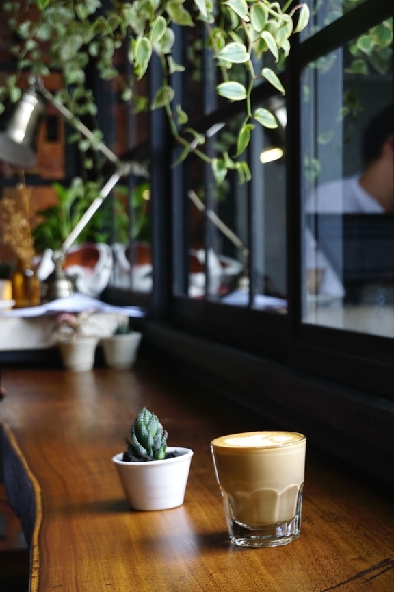Cactus kasvi kahvikupin, Päivänvalo, juoma, taulukko, astiat, puu-ikkunassa
