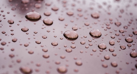 surface, water, wet, dew, raindrops