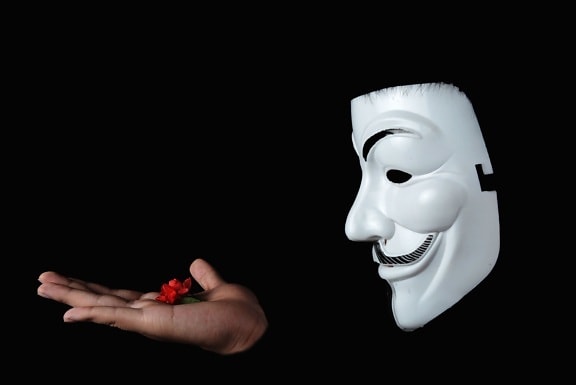 unknown, anonymous, person, hand, flower, mask, person