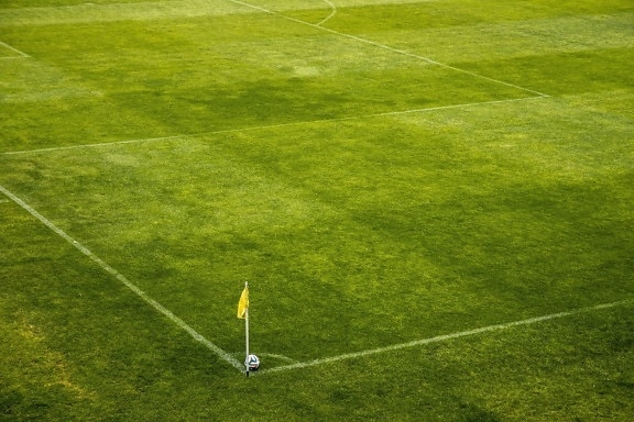 football, grass, green grass, flag, pitch, soccer, sport