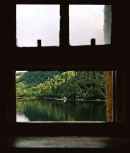 water, window, wood, forest, lake, tree