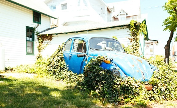 Oldtimer, régi, utcai, napfényes, autó, jármű, klasszikus, fű