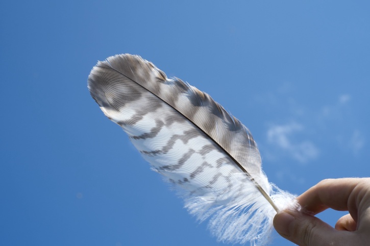 fingers, hand, blue sky, feather