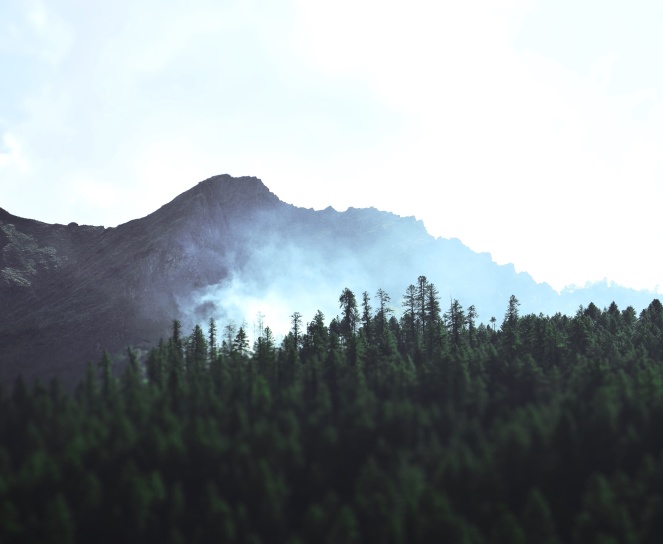 mountain, nature, sky, trees, forest, fog