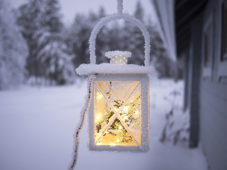 sníh, strom, zima, lampa, mráz, zmrazené, LED