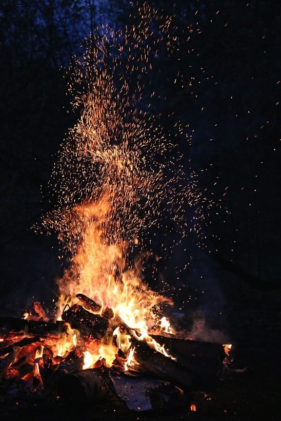 fire, firewood, flame, forest, heat, hot, night, smoke, spark