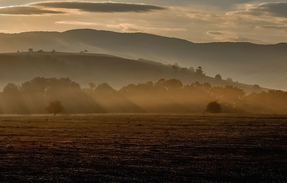 paysage, brume, matin, arbres, collines, l’agriculture