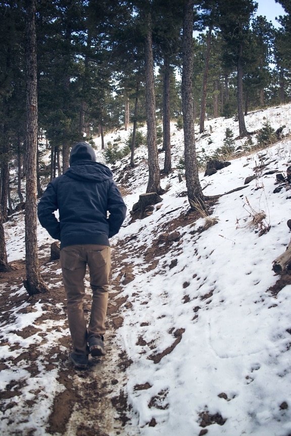 hiker, hiking, male, path, person, snow, trail, winter, forest
