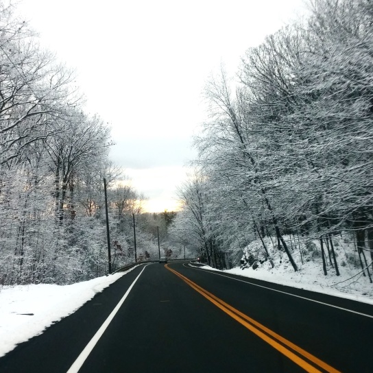 アスファルト、寒さ、道路、ドライブ、霜、氷、風景、木