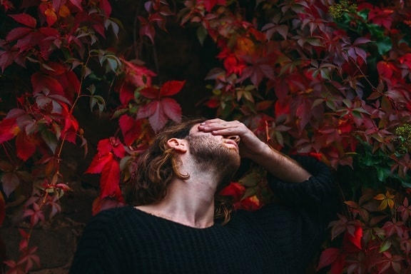 beard, color, fashion, leaves, man, plant, red, sweater, tree