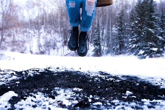 sapatos de neve, árvore, clima, inverno, madeira, pano, calças de brim, frio