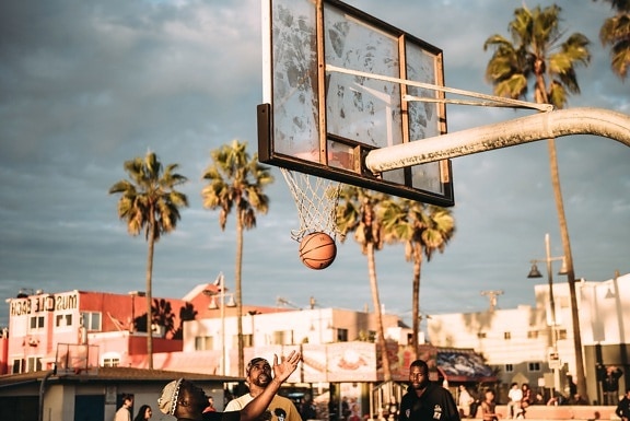 篮球场, 人, 玩, 街道, 球, 篮球, 城市, 乐趣, 游戏, 棕榈