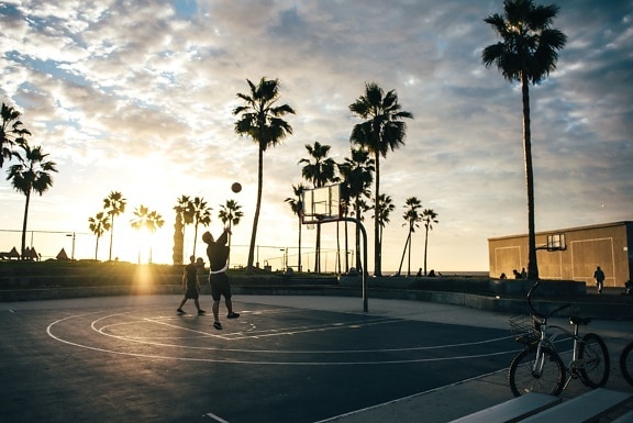 篮球, 沙滩, 自行车, 娱乐, 热带, 度假