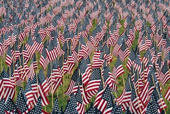 flaggor, USA, gräs, röd, blå