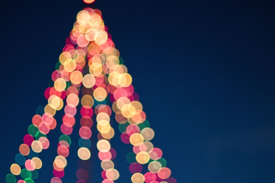 ozdoba, Boże Narodzenie, światła, drzewa, kolorowy