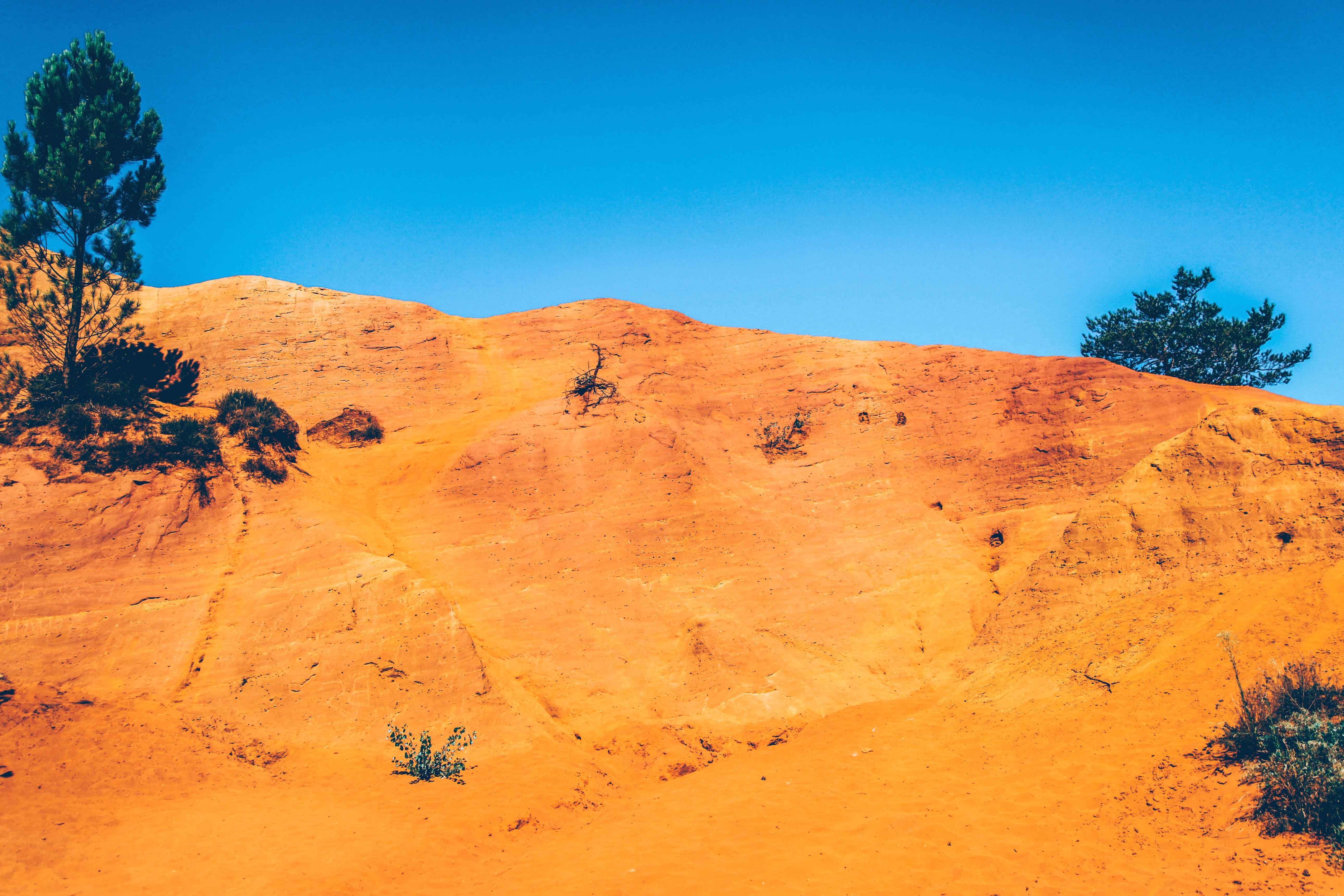 フリー写真画像 空 太陽 木 茂み 砂漠 乾燥 丘