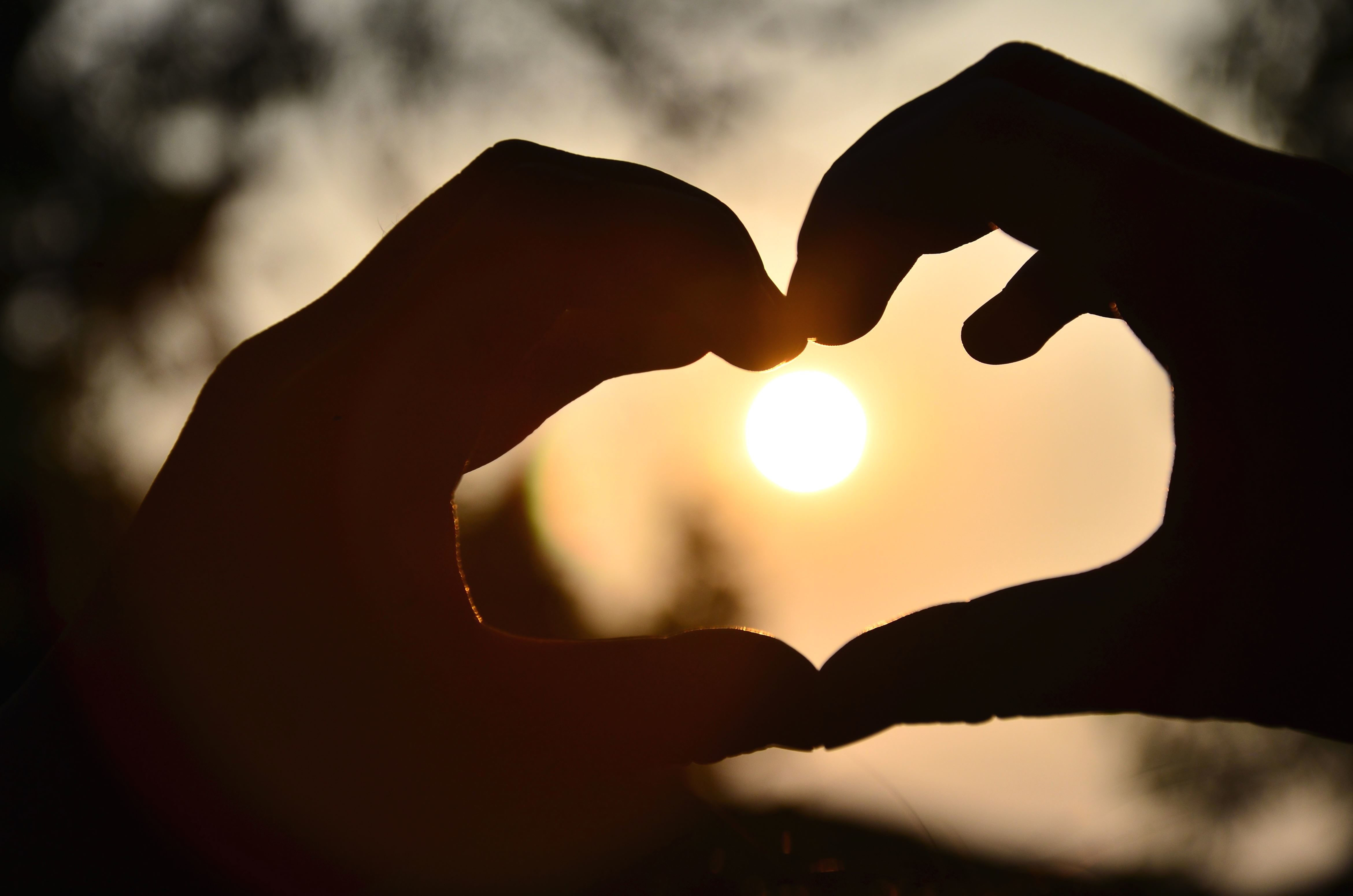 🫶🏾” nghĩa là gì: hai bàn tay tạo hình trái tim: màu da tối trung bình  Emoji | EmojiAll