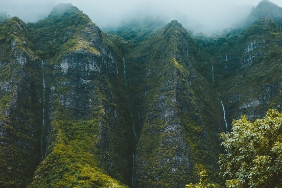 mountain, nature, fog, landscape, forest
