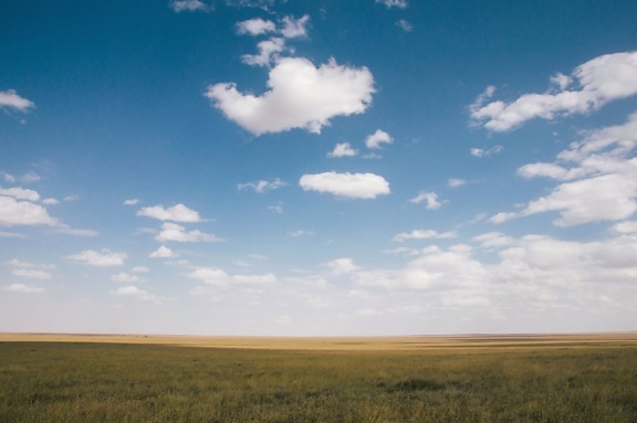 field, sky, sun, agriculture, cloud, crops