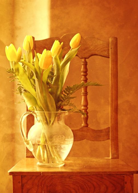 tulipaner, tre, stol, bukett, flora, blomst, arrangement, blomst, vasen