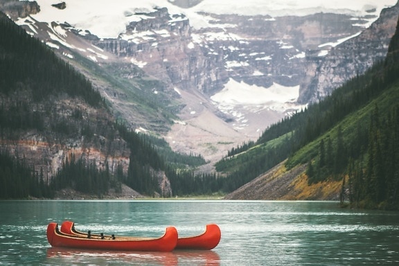 summer, water, wood, boat, conifers, fir, trees, kayak, lake