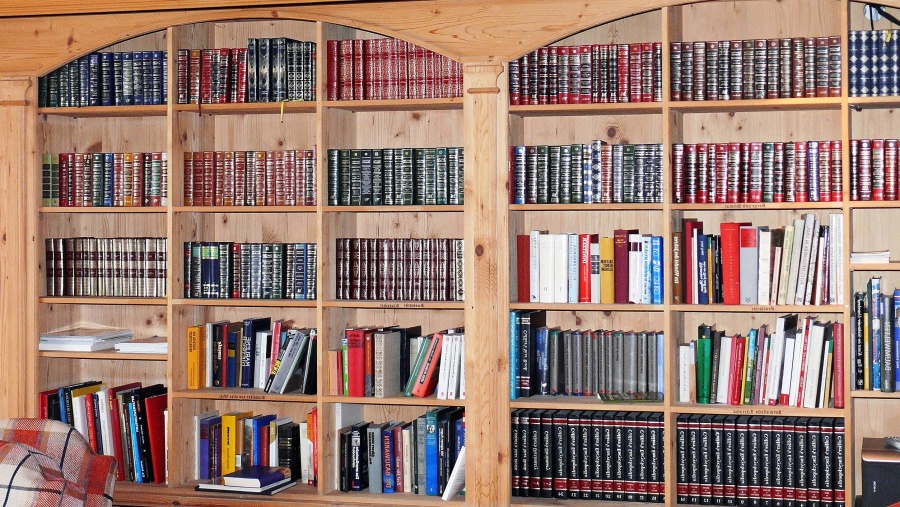 livro, parede, estante, livros, biblioteca, sala de