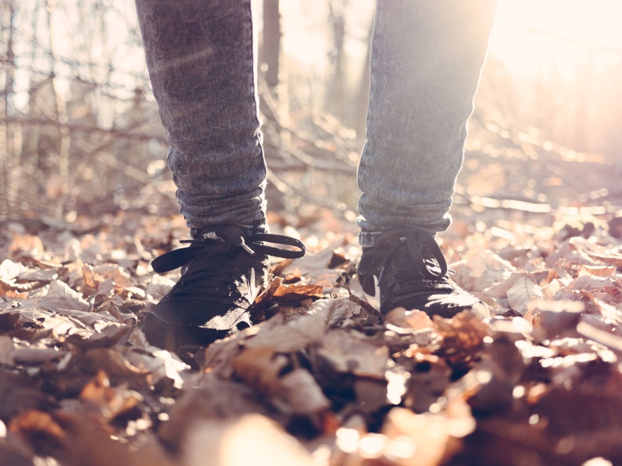 shoes, trees, weather, woods, leaves, legs, nature, pants