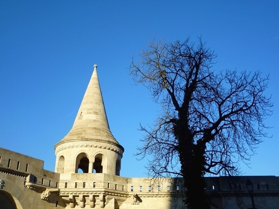 castle, building, tree, sky, history, architecture, wall