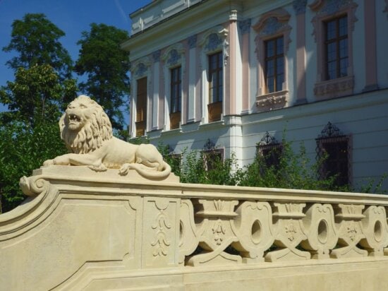 lion, statue, window, wood, building, architecture