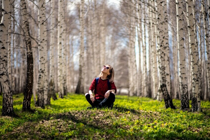 Free Picture Park Rural Tree Woman Wood Forest Grass Landscape