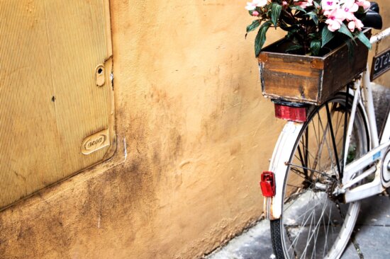 Bicyclette, fleurs, vieux, antique, objet