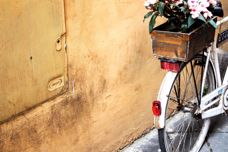 велосипед, цветы, старый, античный, объект