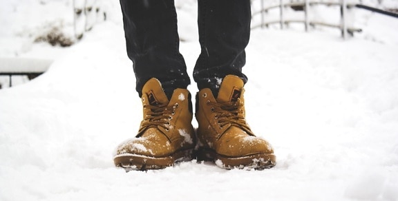 чоботи, туфлі, сніг