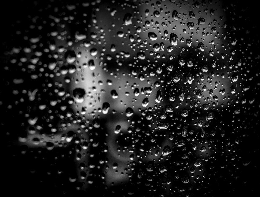 Free picture: moisture, rain, water, drops, wet, glass, liquid