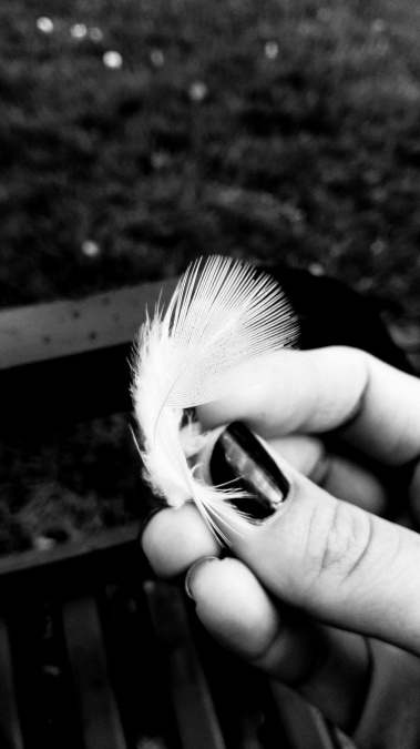 feather, fingers, focus, hand, nails
