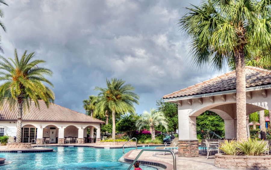 酒店, 室外, 棕榈树, 游泳池, 热带, 假期