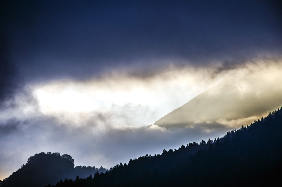 Silhouette, tempesta, nebbia, foresta, paesaggio, montagna
