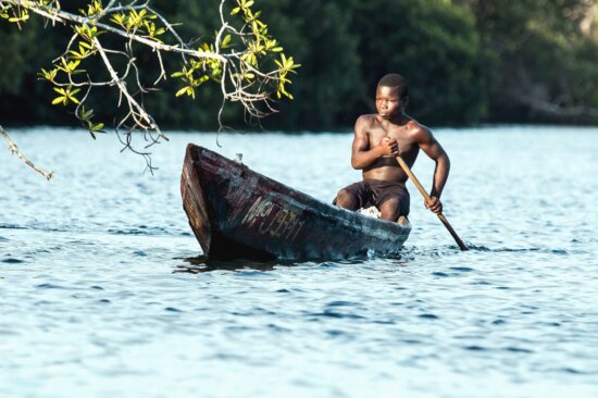 paddle, river, water, canoe, man, tree