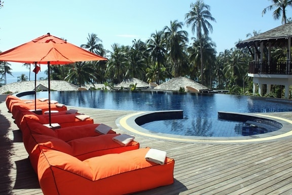 Exteriér, luxusní, léto, bazén, hotel, palm, strom