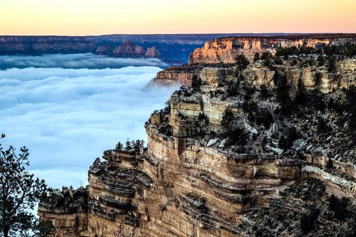 Greystone canyon. Деревья в каньоне. Каньон мист. Туман в каньоне.