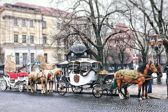 carriage, horses, cart, city, architecture, buildings, street