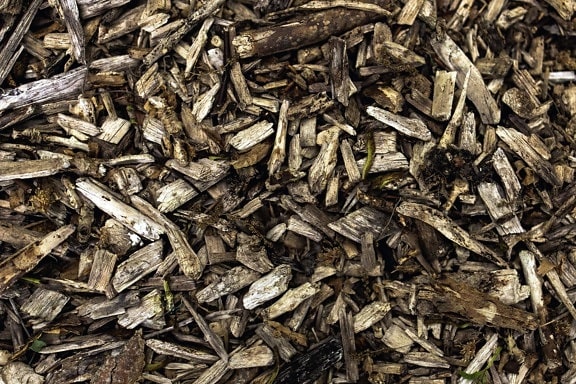 Brennholz, Textur, Wald, Textur
