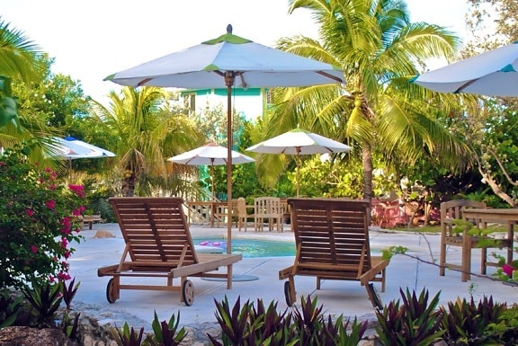 бассейн, Сад, отпуск, стул, кокосовое, экзотические, отель, роскошный