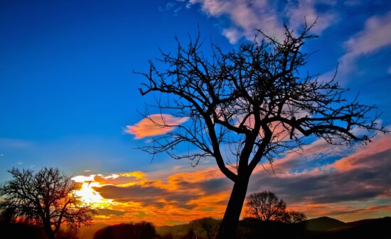 Naturaleza, silueta, cielo, puesta del sol, árbol, nube, paisaje