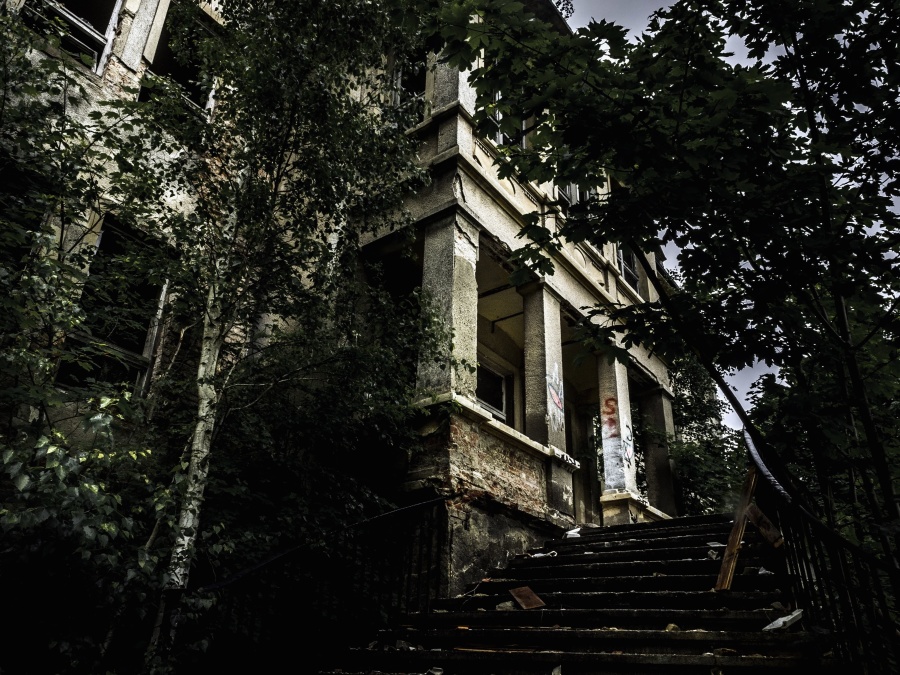 staircase, trees, window, abandoned, building, architecture, building