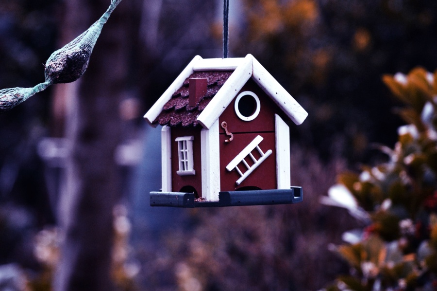 Appendere, casa, birdhouse, giardino