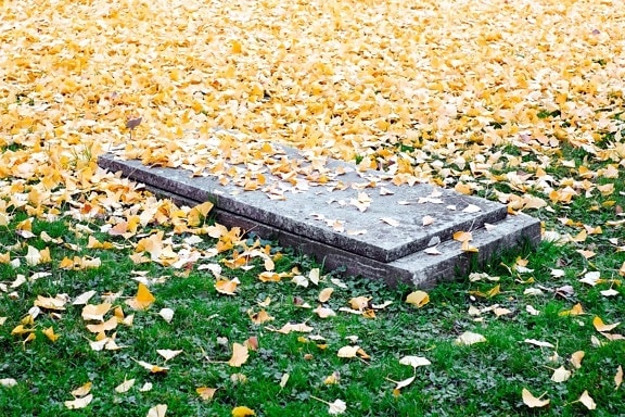 Cementerio, césped, sepultura, hojas, tierra, campo, hierba
