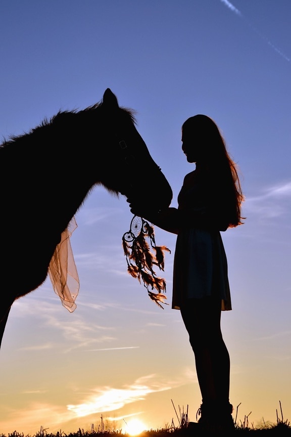 girl, silhouette, horse, love, person, recreation