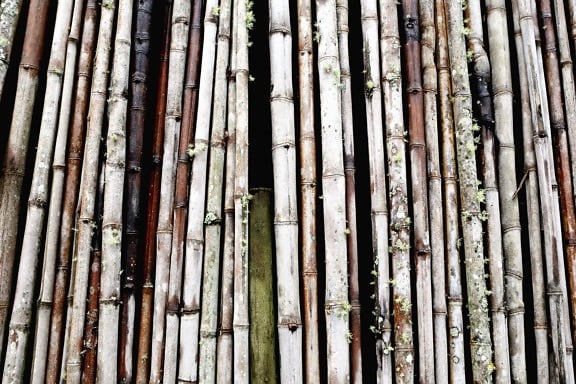 Bambus, beschaffenheit, wand, holz, entwurf, zaun